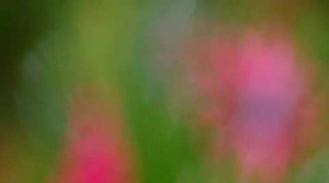 Abstract colorful background Stock-Footage 43036360