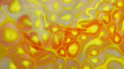 Abstract colorful background Vídeo Stock 84855058