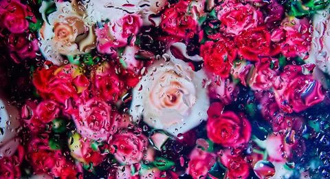Abstract colorful background 스톡 사진