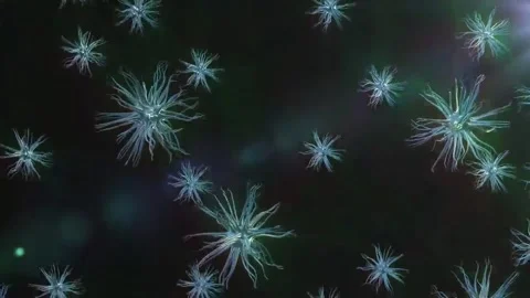 Abstract colorful bacteria rolling background Stock-Footage 255921196