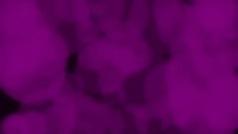 Abstract Colorful Bokeh Lights Background Blur Circle Pattern Stock Footage 337164624