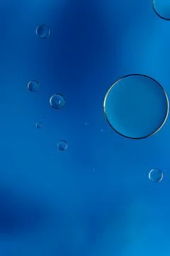 Abstract colorful bubbles. Soft background with blue tones and circles. Stock Photos