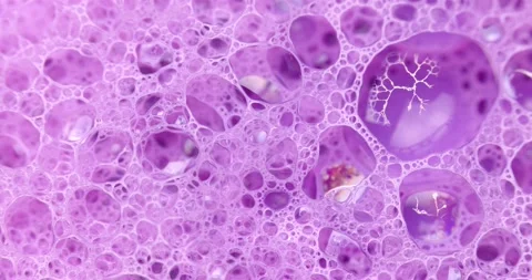 Abstract colorful circular shaped elements as background template Stock Footage 149067886