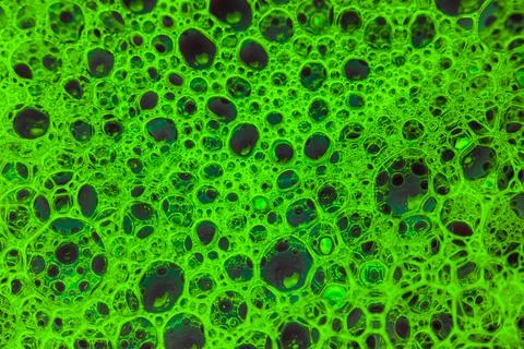 Abstract colorful circular shaped elements as background template Foto stock