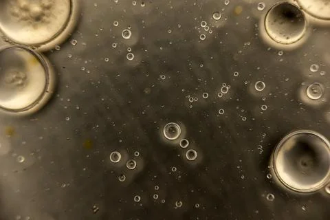 Abstract colorful circular shaped elements as background template Foto stock