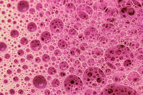 Abstract colorful circular shaped elements as background template Stock Photos