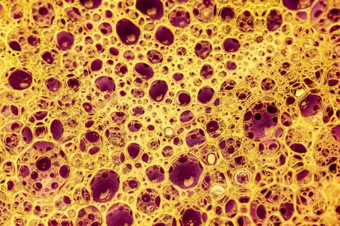 Abstract colorful circular shaped elements as background template 写真素材