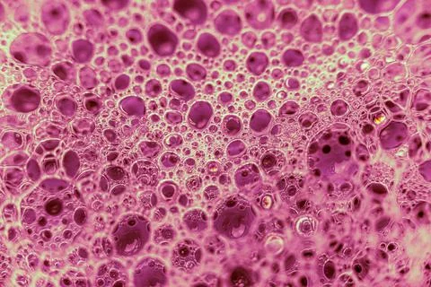 Abstract colorful circular shaped elements as background template Stock Photos