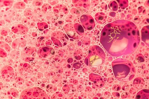 Abstract colorful circular shaped elements as background template 写真素材