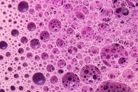 Abstract colorful circular shaped elements as background template Foto stock