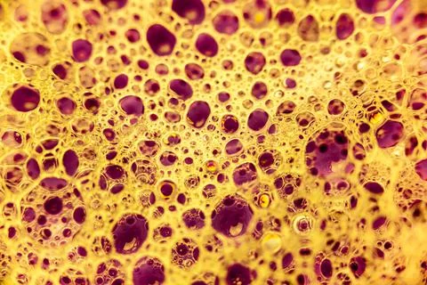 Abstract colorful circular shaped elements as background template Foto stock