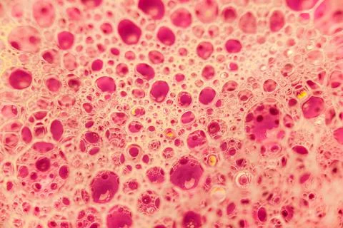 Abstract colorful circular shaped elements as background template Stock Photos