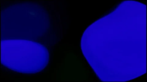 Abstract colorful elements flashing on black background. Stock Footage 97210170