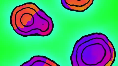 Abstract colorful fluid shapes morphing with thick black outlines on green Stock Footage 334668550