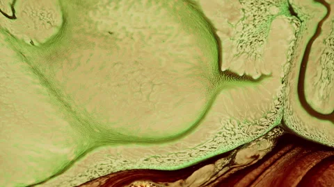 Abstract Colorful Ink Paint Diffusion Surreal Spread Shapes Stock Footage 298439317