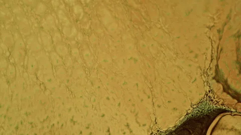 Abstract Colorful Ink Paint Diffusion Surreal Spread Shapes Video stock 298470516