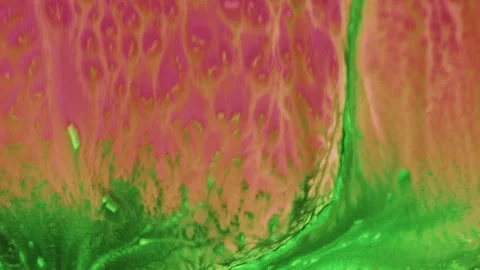 Abstract Colorful Ink Paint Diffusion Surreal Spread Shapes Stock Footage 298498423