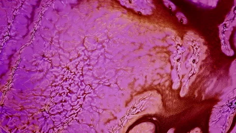 Abstract Colorful Ink Paint Diffusion Surreal Spread Shapes Stock Footage 298512940