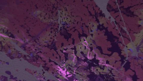 Abstract colorful ink pattern. Texture backdrop for various projects. 스톡 일러스트