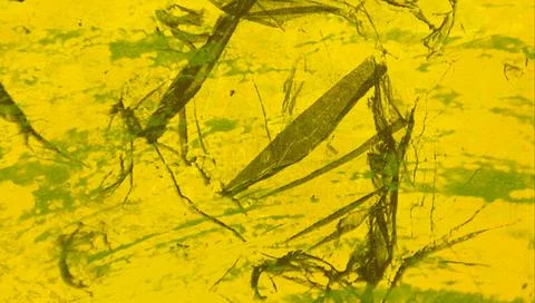 Abstract colorful ink pattern. Texture backdrop for various projects. イラスト素材