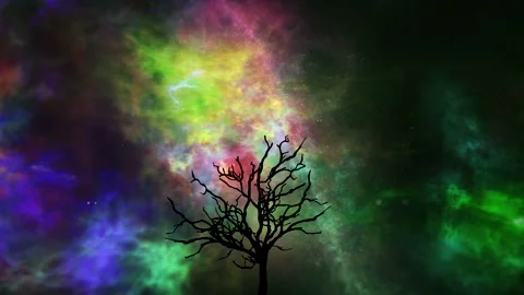 Abstract colorful motion galaxy - black silhouette of tree - night sky - loop Stock Footage 150573727