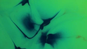 Abstract colorful paint. Stock-Footage 85608463