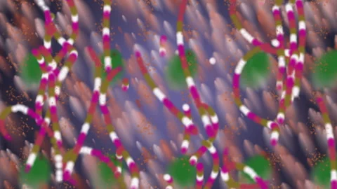 Abstract Colorful Pattern Vibrant Shapes and Dynamic Textures Stock Footage 304968420