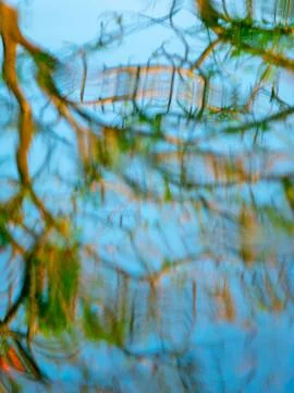 Abstract Colorful Reflection of Tree Branches and Blue Sky on Wavy Water Su.. Foto stock