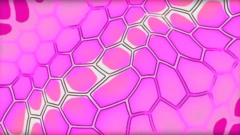 Abstract colorful snake scale pattern. Motion. Hexagonal stretching shapes on a Stock Footage 234814398