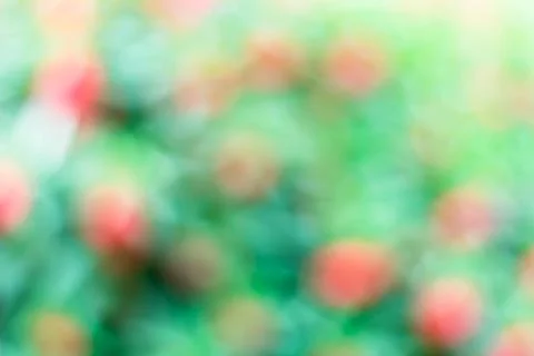 Abstract colorful spring background Stock Photos