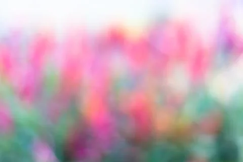 Abstract colorful spring background Stock Photos
