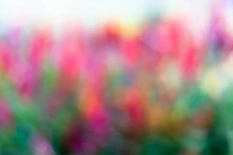 Abstract colorful spring background Stock Photos
