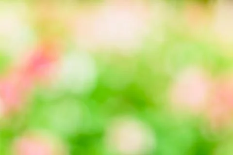 Abstract colorful spring background Stock Photos