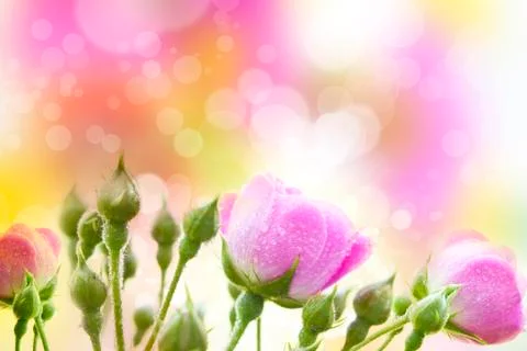 Abstract colorful spring background Stock Photos