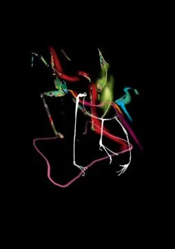 Abstract colorful structure on black, insect, lines, music, animal Stock Illustration