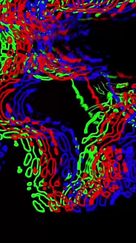 Abstract colorful swirling patterns of red green blue lines. Colorful patte.. Stock Footage 345718423
