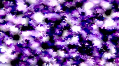 Abstract Colorful Wave Motion Background 04. 4K Video stock 295504950