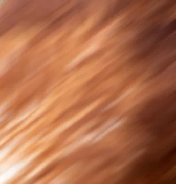 Abstract colors derived from natural patterns of bird feathers. Stock Photos