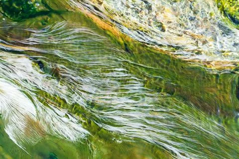 Abstract colors shade of algae. 스톡 사진