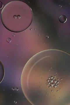 Abstract colourful bubbles. Soft background with purple violet colors. Stock Photos