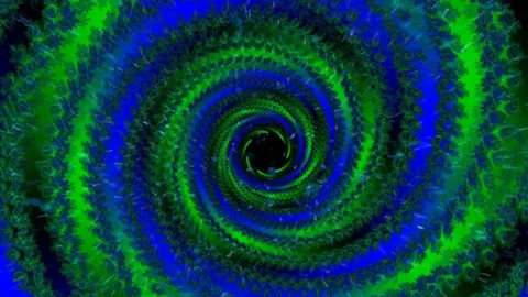 Abstract colourful circle design geometric Seamless pattern background 4k. Stock Footage 145959129