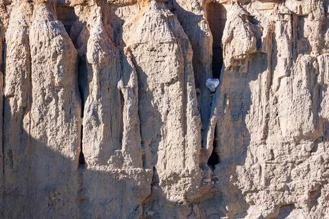 Abstract Columns of Eroded Sediment Stock Photos