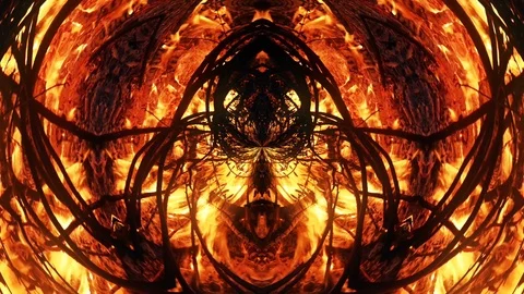 Abstract Composition of Burning Branches on Fire Stock Footage 88463619