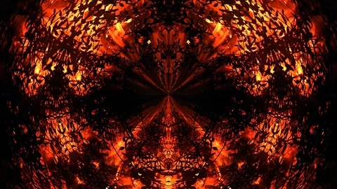 Abstract Composition of Burning Branches on Fire Stock Footage 88463908