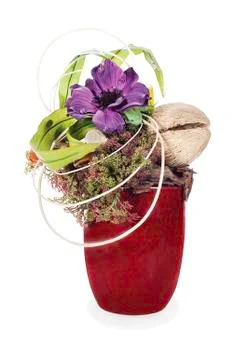 Abstract composition from coconut, flower, rocks and vines arrangement center Stock Photos