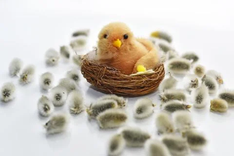 Abstract composition for Easter celebration. Stock Photos