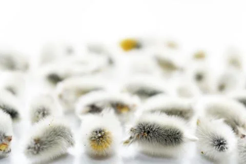 Abstract composition for Easter celebration. Stock Photos