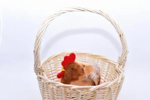 Abstract composition for Easter celebration. Stock Photos