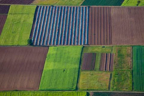 Abstract Composition Fields From Above Stock Photos