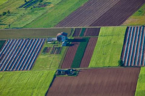 Abstract Composition Fields From Above4 Foto stock